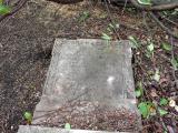 image of grave number 295952
